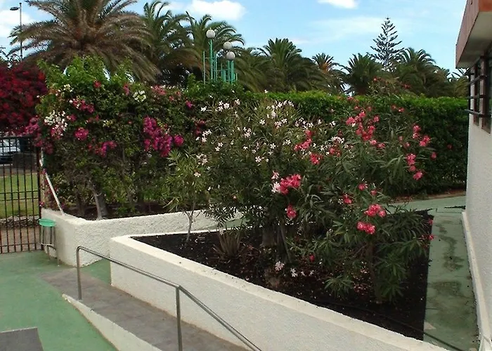 Dona Rosa