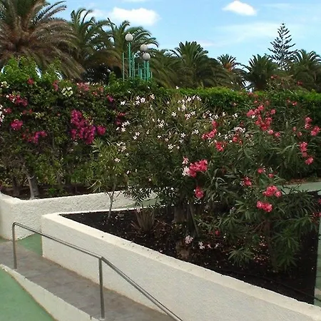 Dona Rosa